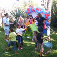 Festa Animada